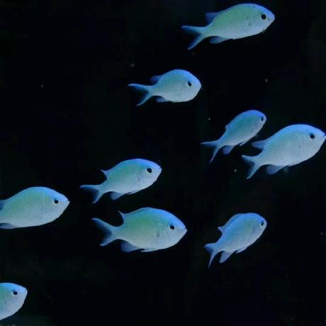 Modem924 Dongha Song Github - Modern HD Gradient Photos | Free Download