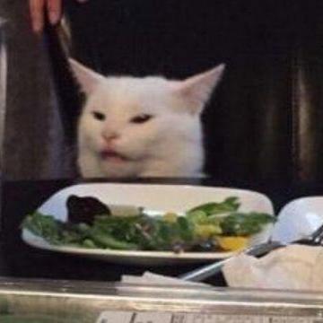 Github Not Johnwick Tincat - Modern High Resolution Landscape Photos | Free Download