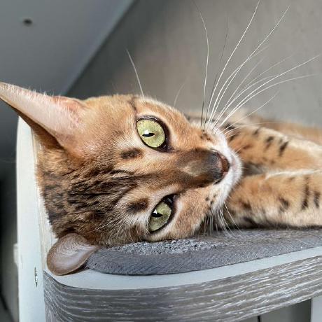 Chanjinkim Chanjin Kim Github - Landscape Textures - Premium Retina Collection