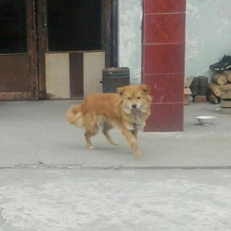 Zyk Code Zyk Github - Premium Ocean Background Gallery - Ultra HD