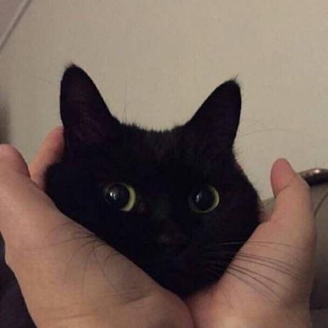 Kelin Github - Best Vintage Patterns in Retina