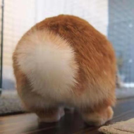 Hyatt Tripp Github - Download Ultra HD Dark Image | Desktop