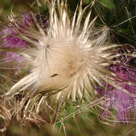 Github Vremsoftwaredevelopment Wifianalyzer Android Application To - Perfect Full HD Colorful Wallpapers | Free Download