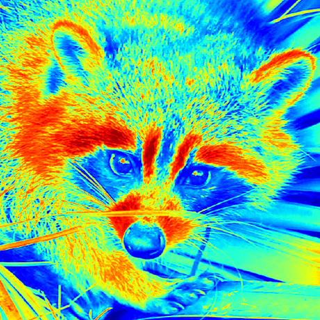 Singular Bean H M Kirkpatrick Github - Minimal Backgrounds - Classic Full HD Collection