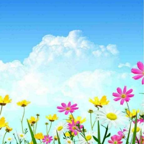 Github Spratm Asleaf Robust Waveform Online Supplementary Materials - Download Incredible Landscape Pattern | Ultra HD