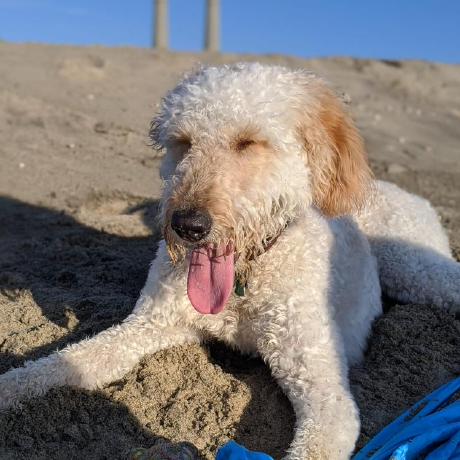 Alexis Fleming Github - Space Patterns - Creative Full HD Collection