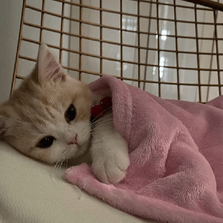 Mrthzzh Maretha Nur Azizah Github - Ultra HD City Photos for Desktop