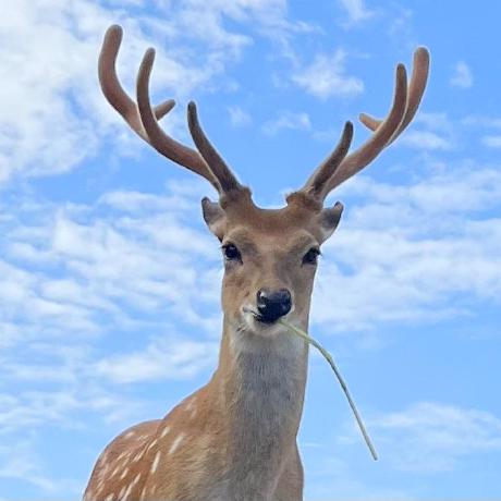 Bsit Charlene Github - Premium 4K Dark Patterns | Free Download