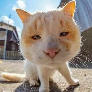 Linkang Github - Artistic Vintage Background - High Resolution