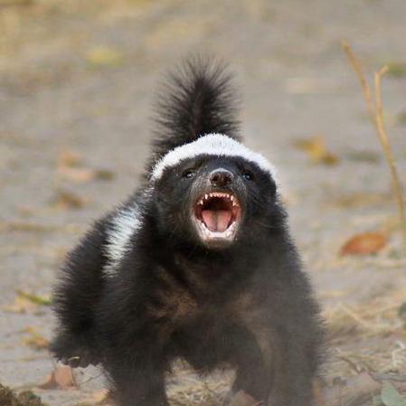 Github Hyeonseong P Java Spring Basic Practice - Premium Space Design - HD