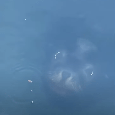 Github Sidhys Native A Modified Decently Documented Version Of - Minimal Wallpaper Collection - High Resolution Quality