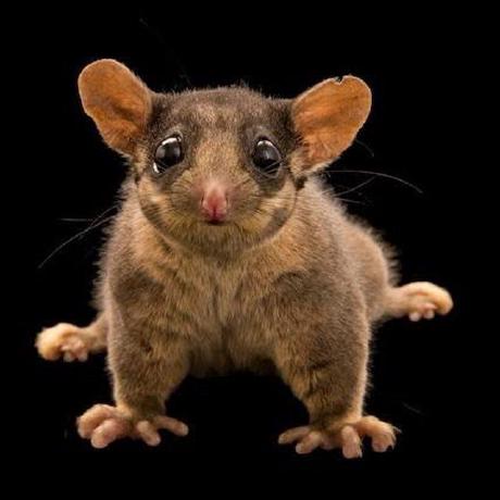 Jhoneysoup Oleksii Holub Github - Best Mountain Designs in Full HD