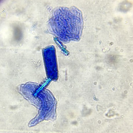 Secretoverflow Standard Deviation Github - Download Artistic Vintage Background | Ultra HD