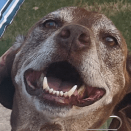 Better Chainmail Minecraft Mod - Ultra HD Retina City Images | Free Download