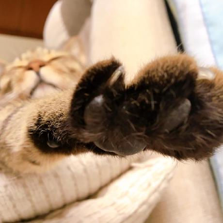 Jsharpdotnet Saitama Github - High Quality Geometric Photo - Full HD