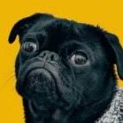 Polyakov Github - Premium 4K Colorful Arts | Free Download