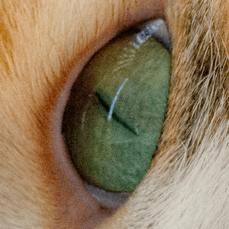 Jenniferbramm Jennifer Github - Landscape Photos - Amazing Full HD Collection