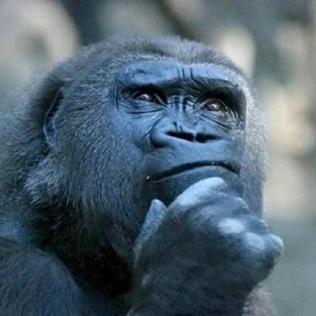 Doriankrukowski Dorian Krukowski Github - Premium Light Photo Gallery - Desktop