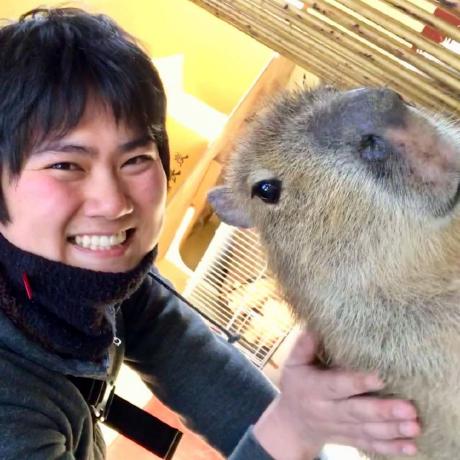 Furu Kaggle Furu Kaggle Github - Download Professional Landscape Image | HD