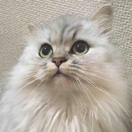 Cabo 2 Yasushi Isezaki Github - Artistic Retina Vintage Images | Free Download