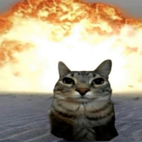 Toffikk Tofik 07 Github - Premium Ocean Design Gallery - 4K