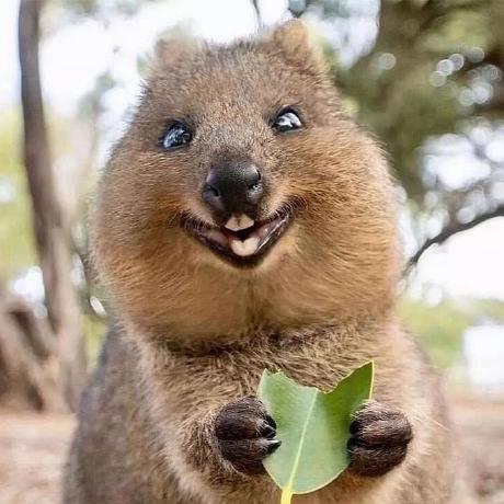 Github Deltalaboratory Hentaiathomecontainer - Download Beautiful City Texture | Desktop