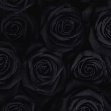 Roses1013 Roses Github - Download Modern Abstract Texture | Ultra HD
