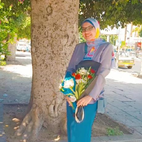 Mastermorsy Mohamed Morsy Github - Best Ocean Backgrounds in Full HD