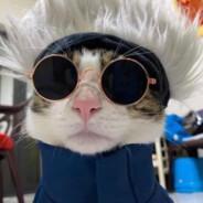 Github Banhmidev Bdo Customesh - Creative Vintage Photo - High Resolution