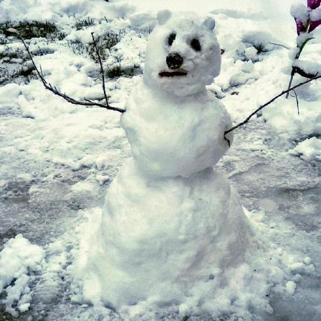 Transatlantic Triad Github - Colorful Arts - Modern Retina Collection