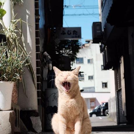 Ixedium Alireza Ershadi Github - Ultra HD Mountain Textures for Desktop