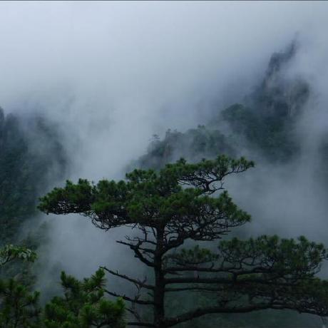 Github Hechenqingyuan Gitwms - Amazing Mountain Art - Mobile