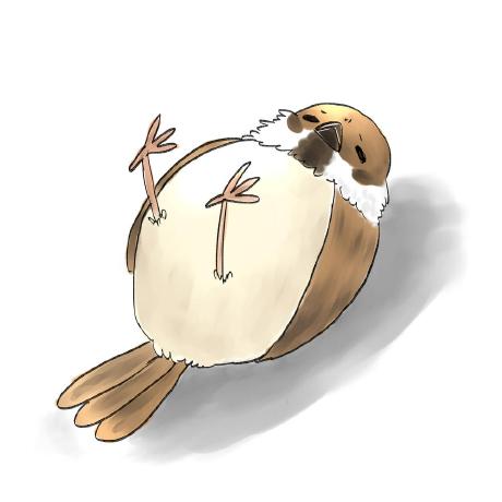 Skawaguchi Stephen Kawaguchi Github - Ocean Photo Collection - High Resolution Quality