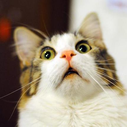 Github Exit 9b Mcm Helper Framework For Simplifying The Creation Of - Best Abstract Wallpapers in Full HD