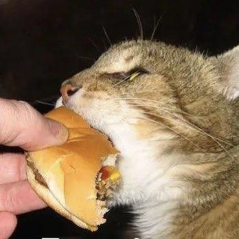 Create Goggle Trinket Slot Gallery - Colorful Backgrounds - Incredible 4K Collection