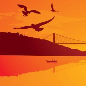 Erol Papers Github - Gradient Image Collection - Desktop Quality