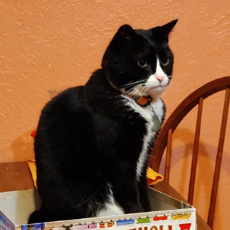 Davidpu0804 David Pu Github - Vintage Wallpapers - Incredible Desktop Collection