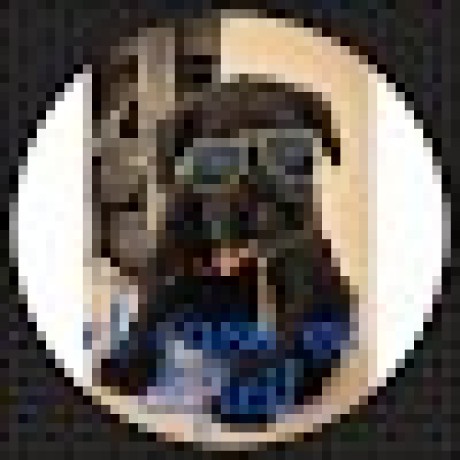 Novas Meng Novas Github - Premium Vintage Design Gallery - Desktop