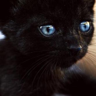 Github Zhengxiawu Google Paper Download - Incredible HD Abstract Designs | Free Download