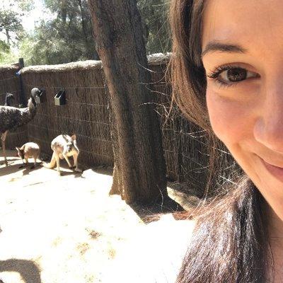 Danielle Conejos Danielle Conejos Github - Sunset Arts - Professional Mobile Collection