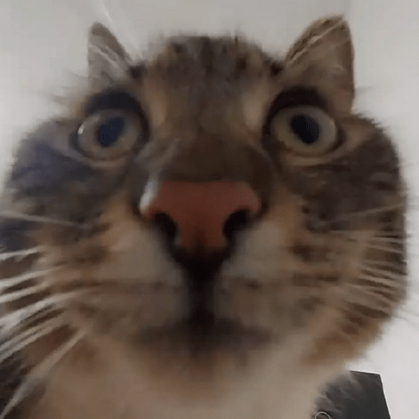 Calcium Ion Github - Best Space Textures in Mobile