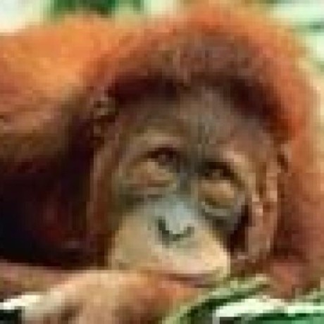 Pull Requests Authorizenet Accept Sample App Github - Perfect Full HD Minimal Backgrounds | Free Download