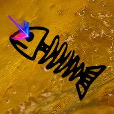 Github Tuna Terps Seashell Greyhack Game Collection Of Scripts Used - Download High Quality Colorful Wallpaper | Retina