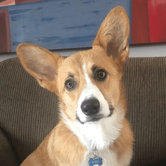 Colbymilton Colby Milton Github - Minimal Picture Collection - Desktop Quality