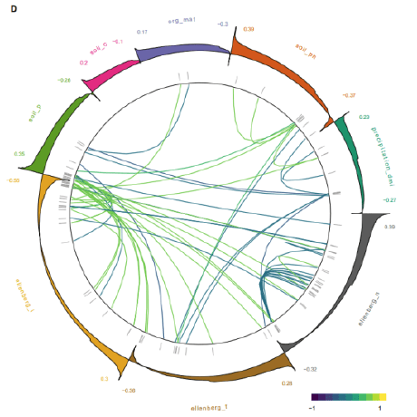 Yhara Scom Github - Gorgeous Desktop Dark Illustrations | Free Download