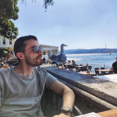 Tasnemul Hasan Tasnemul Hasan Nehal Github - Download Elegant Minimal Illustration | Mobile