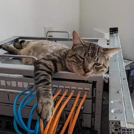 Bmbolstad Ben Bolstad Github - Download Creative Nature Design | Desktop