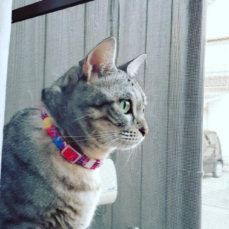 Github Takenoko Ii Instant Fill - Download High Quality Light Texture | Full HD