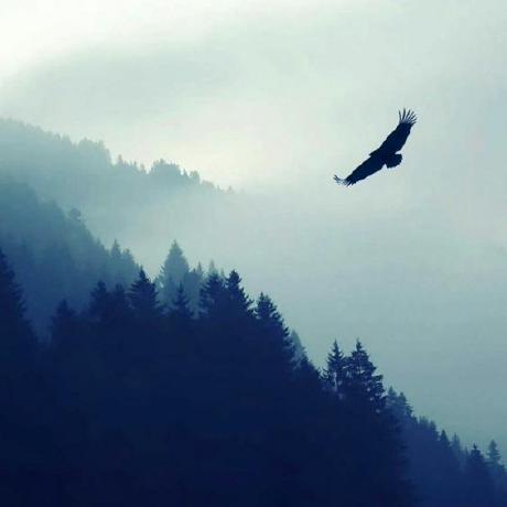 Rosehe1029 Philosophylato Github - Best City Images in Mobile