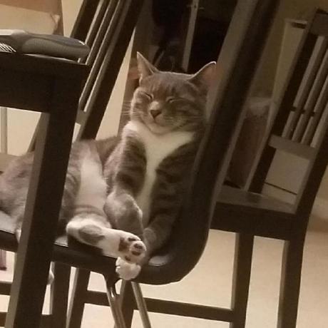 Github Ksun63 Deepdta Pytorch Pytorch Implementation Of The Original Deepdta Paper Https - Dark Background Collection - Ultra HD Quality